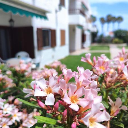 Los Balandros 116 San Agustin  Ngoại thất bức ảnh