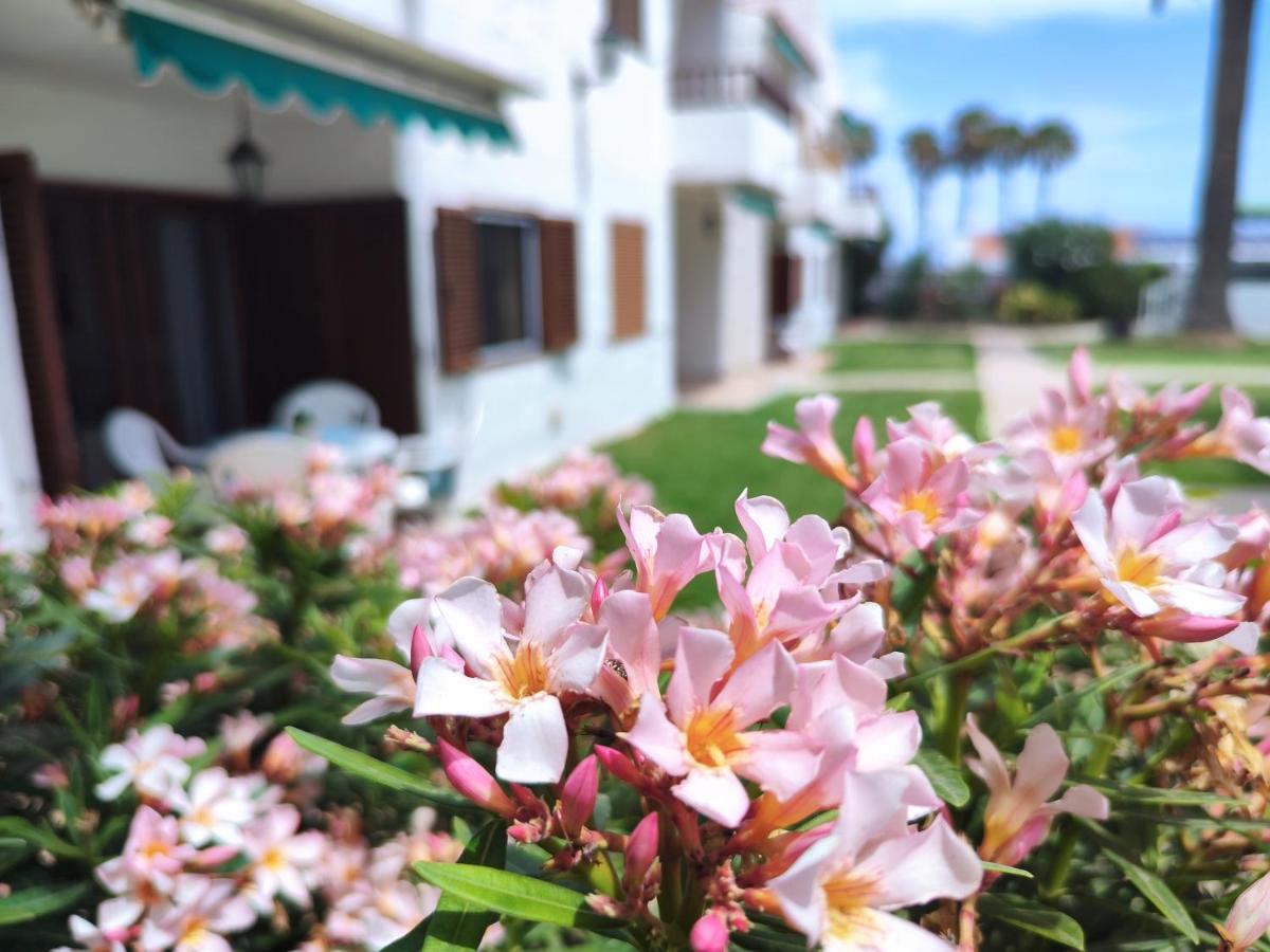 Los Balandros 116 San Agustin  Ngoại thất bức ảnh